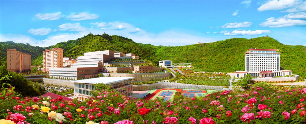 三季有花、四季常青的金徽股份.jpg