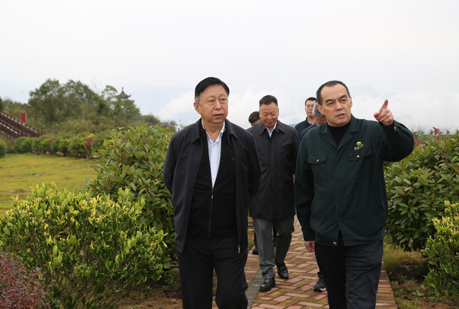 19-2021年10月，原國土資源部副部長汪民蒞臨公司調(diào)研。.jpg