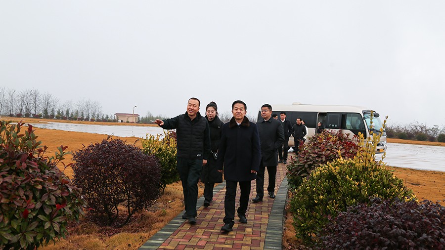 45-2020年12月，省高級人民法院黨組成員、副院長任建國蒞臨金徽股份調(diào)研知識產(chǎn)權(quán)司法保護(hù)工作。.jpg